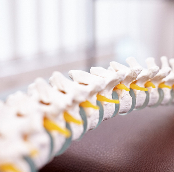 Subluxationen der Wirbel wirken sich negativ auf das Nervensystem aus