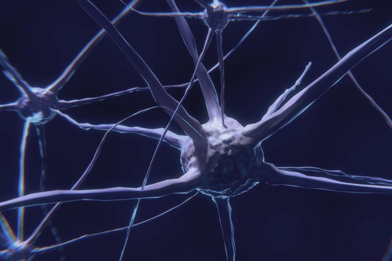 Milliarden Neuronen im Nervensystem